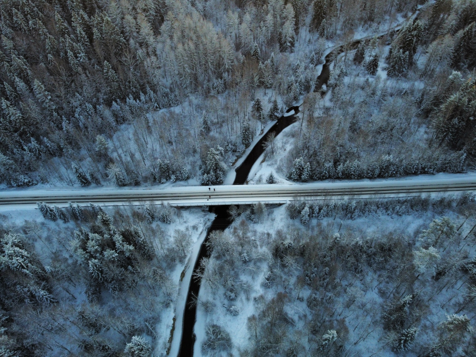 Прокуратура проверила готовность дорог Ломоносовского района к зиме и нашла нарушения